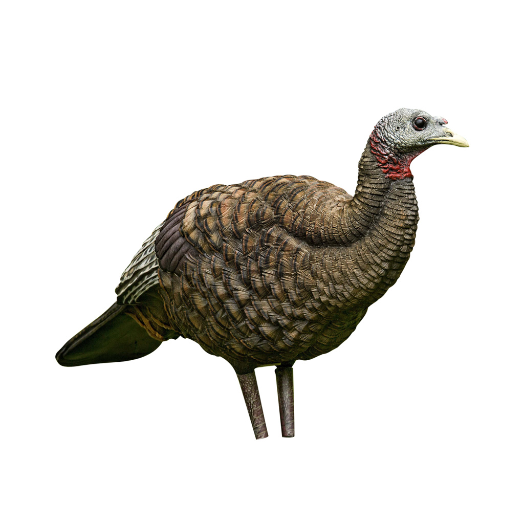 70530_1.jpg