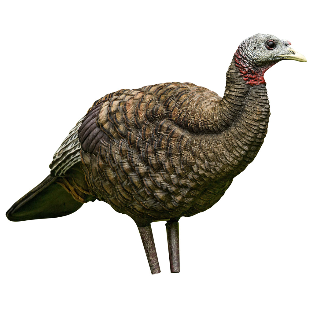 70530_2.jpg