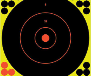 Birchwood Casey Shoot-N-C Target Bullseye 12 in. 12 pk.