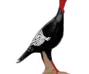 Delta McKenzie Backyard 3D Target Alert Turkey
