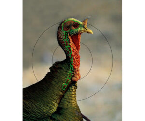 Birchwood Casey Pregame Turkey Target 12x18 in. 8 pk.