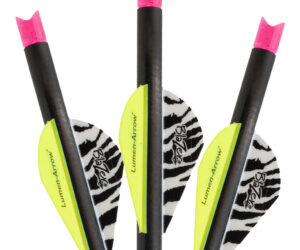 Lumenok Crossbow Bolts 20 in. Pink Capture 3 pk.