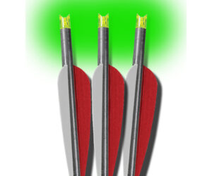 Lumenok Crossbow Bolts 20 in. Barnett Green Moon 3pk.