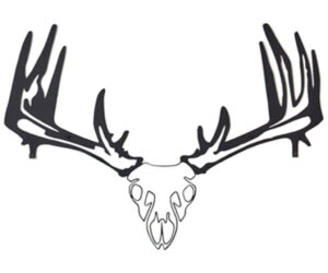 Raxx Bow Hanger Whitetail Skull
