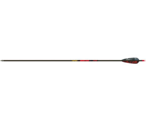 Gold Tip Hunter Arrows 340 4 in. Feathers 6 pk.