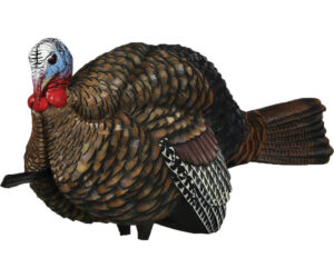 Avian X 1/2 Strut Jake Turkey Decoy