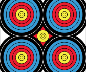 DuraMesh Archery Target Sight In 24 in. x 24 in.