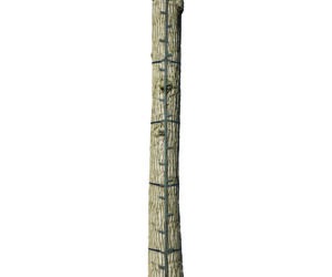 Big Game The Quick-Stick Climbing Stick 20 ft.