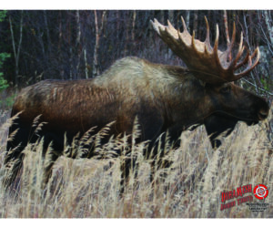 DuraMesh Archery Target Moose 25 in. x 32 in.