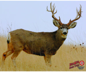 DuraMesh Archery Target Mule Deer 2 25 in. x 32 in.