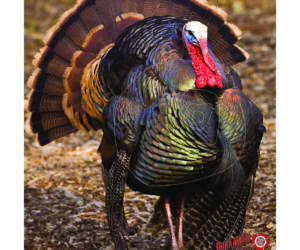 DuraMesh Archery Target Turkey 3 32 in. x 25 in.