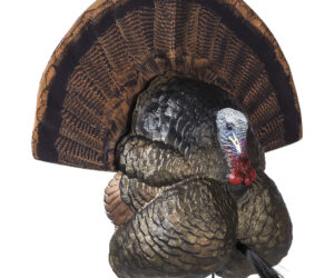 Flextone Thunder Creeper Strutter Decoy