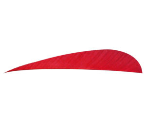 Trueflight Parabolic Feathers Red 4 in. LW 100 pk.