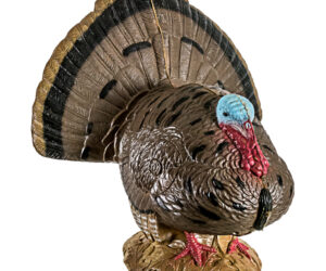 Rinehart Signature Strutting Turkey Target