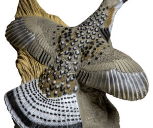 Rinehart Grouse Target