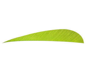 Trueflight Parabolic Feathers Chartreuse 5 in. LW 100 pk.