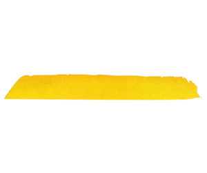 Trueflight Full Length Feathers Yellow RW 100 pk.