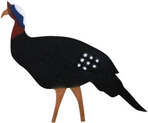 OnCore Archery Target Turkey