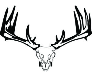 Raxx Crossbow Hanger Whitetail Skull