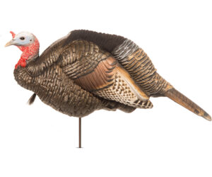 Dave Smith Decoys 3/4 Strut Jake Decoy