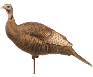 Dave Smith Decoys Upright Hen Decoy