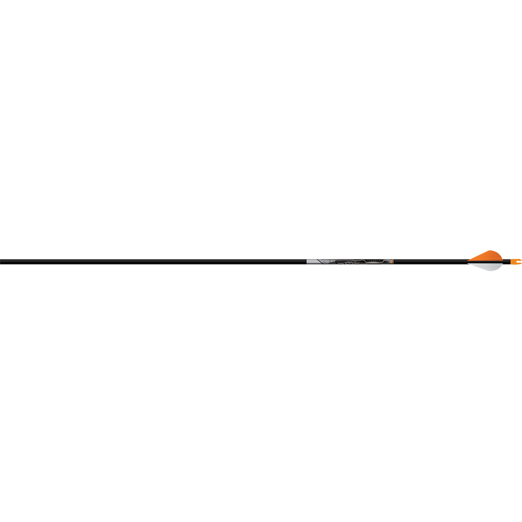 E123500_3.jpg